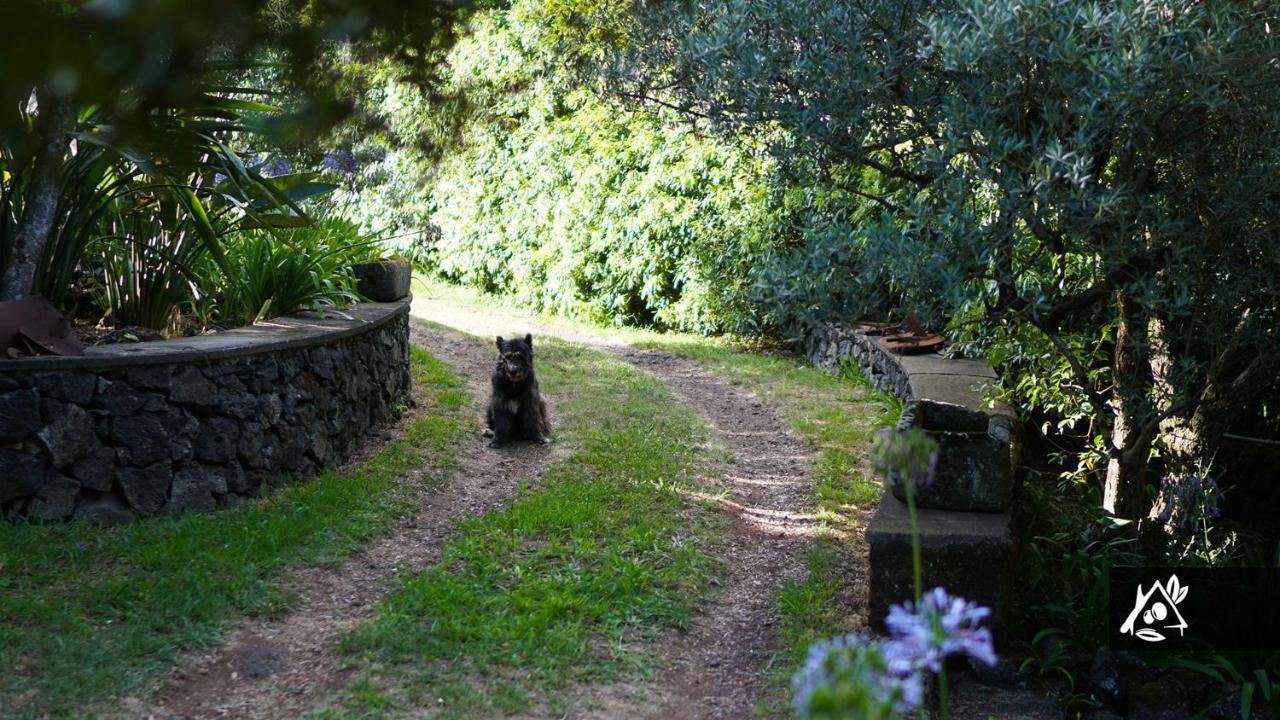 Quinta Do Paraiso Porto Martins Eksteriør bilde