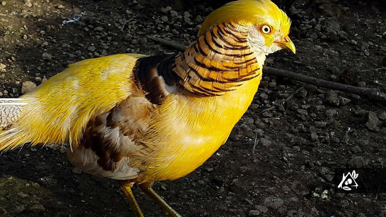 Quinta Do Paraiso Porto Martins Eksteriør bilde