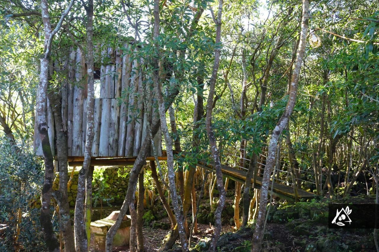 Quinta Do Paraiso Porto Martins Eksteriør bilde